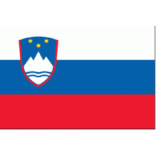 Vlag Slovenie 30x45cm