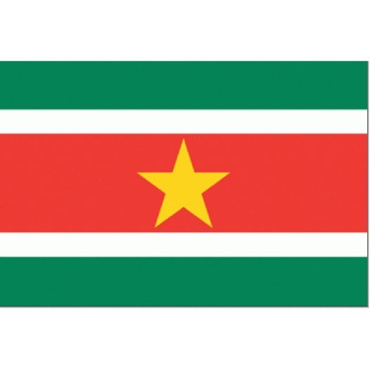 Vlag Suriname 30x45cm