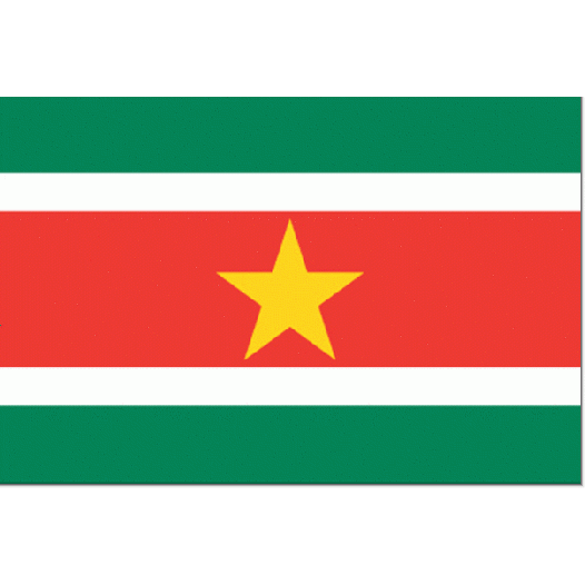 Surinaamse vlag 100x150cm - Spunpoly