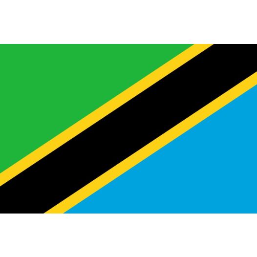 Vlag Tanzania 30x45cm