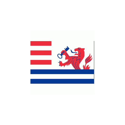 Vlag Terneuzen 30x45cm