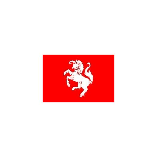 Autovlag Twente Luxe