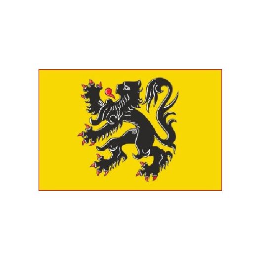 Vlag Vlaanderen 30x45cm