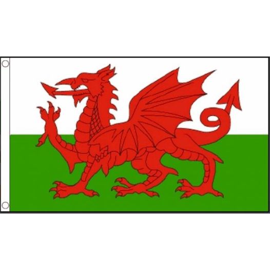 Vlag Wales 90x150cm | Best Value