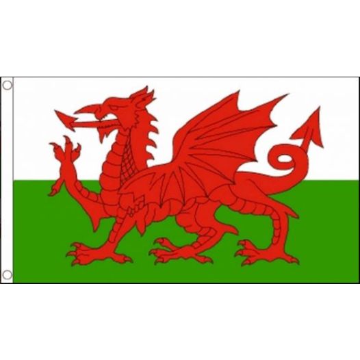 Vlag Wales 60x90 cm | Best Value