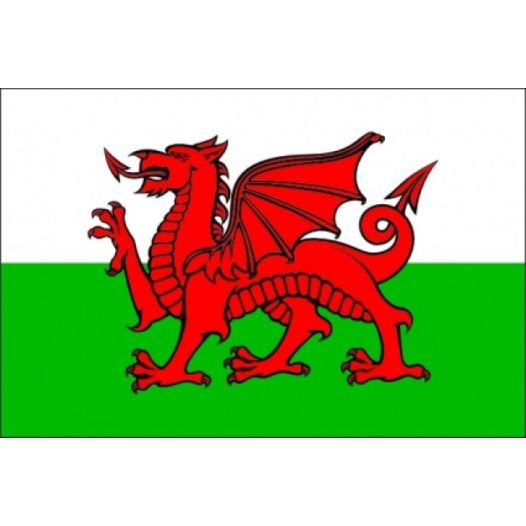 vlag Wales 70x100cm