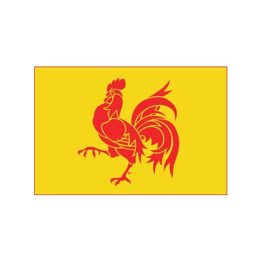 Vlag Wallonie 90x150cm | Best Value