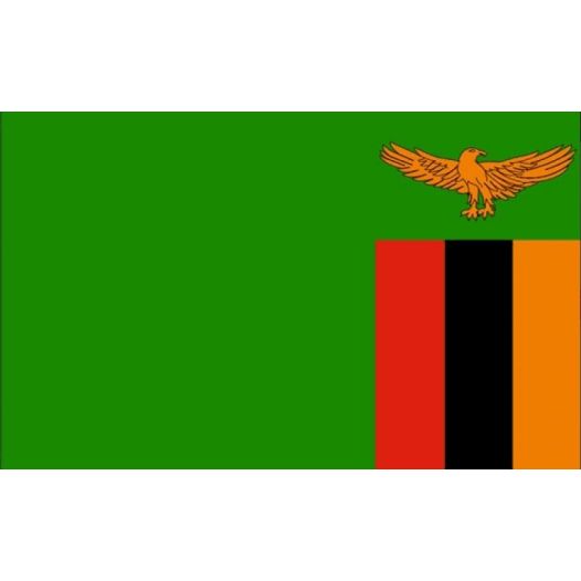 Vlag Zambia 30x45cm