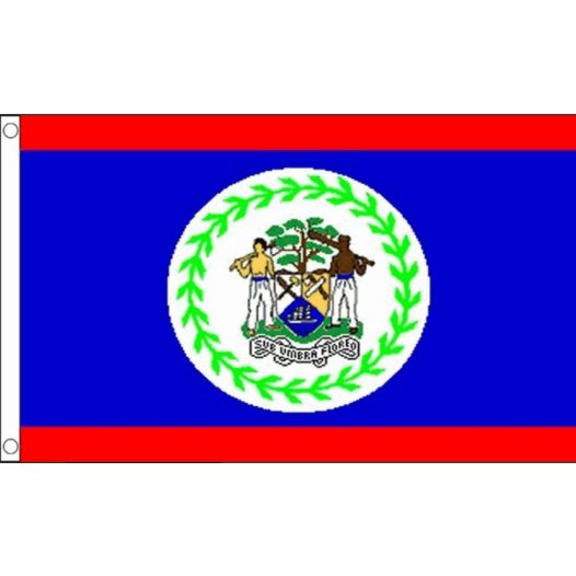 Vlag Belize 60x90cm | Best value