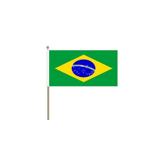 Zwaaivlag Brazilie 30x45cm | stof