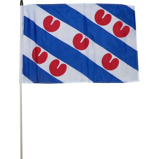 Zwaaivlag Friesland 30x45cm | stof