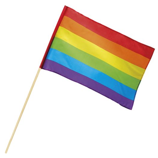 Zwaaivlag Regenboog l 30x45cm met stok van 76cm