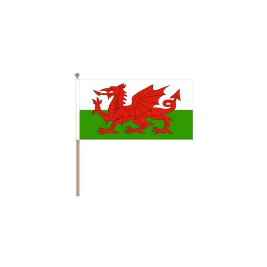 Zwaaivlag Wales 30x45cm | stof